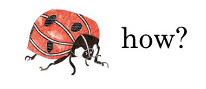 picture of a lady bug and the word "how"