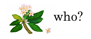picture of a plant with the word "who"
